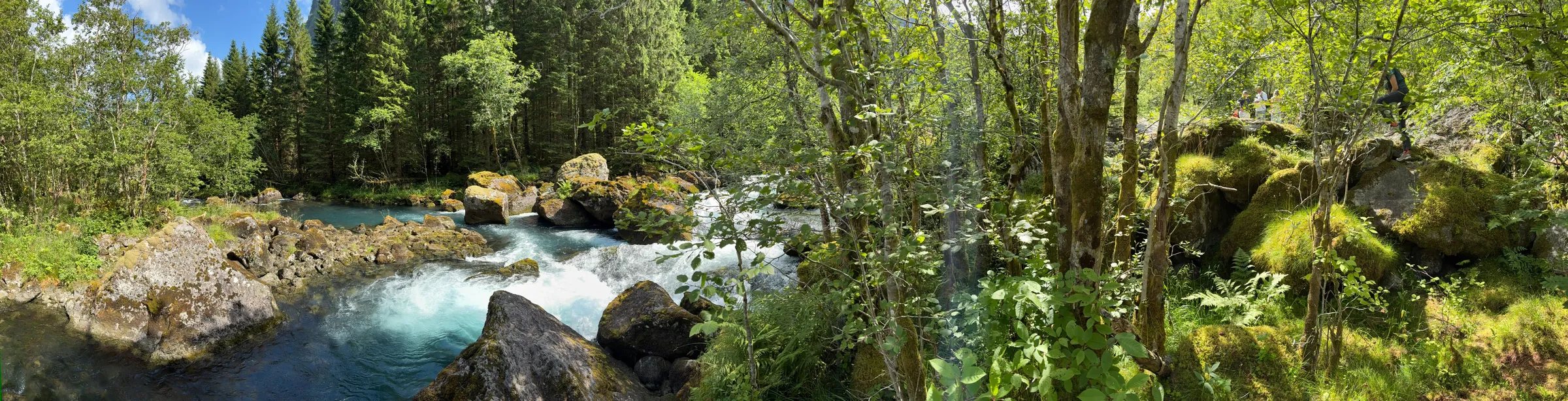 Panorama of a glacier-blue river rushing between mossy boulders and birch trees